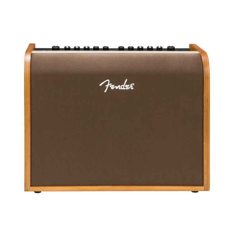 Fender Acoustic 100, Acoustic Guitar Amp – Portland Music Company