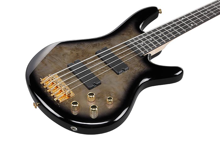 Ibanez GSR205PC-TPB 5-string Bass Guitar