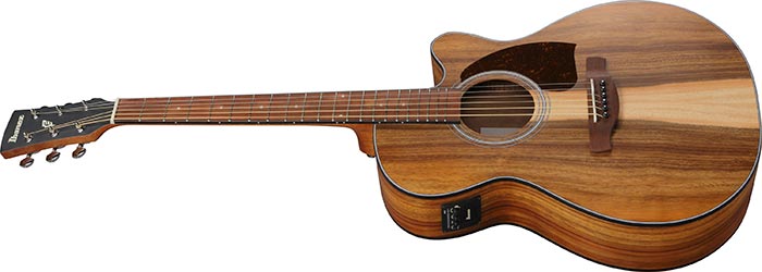 Ibanez PC50WSCE, Acoustic Guitar