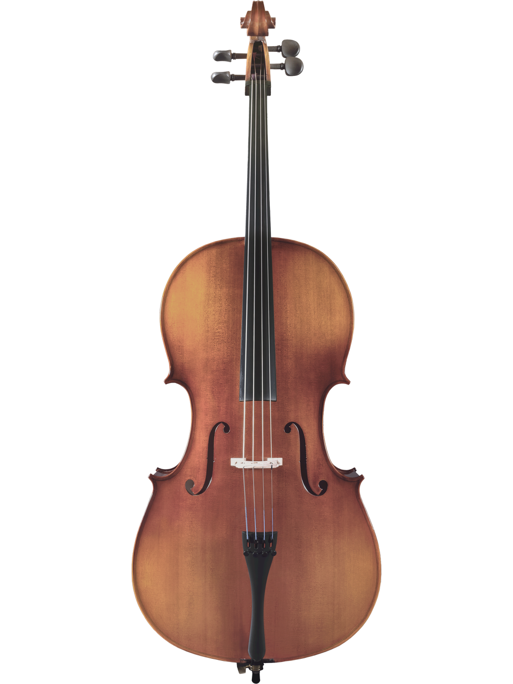 Maple Leaf Model 120 4/4 Student Cello