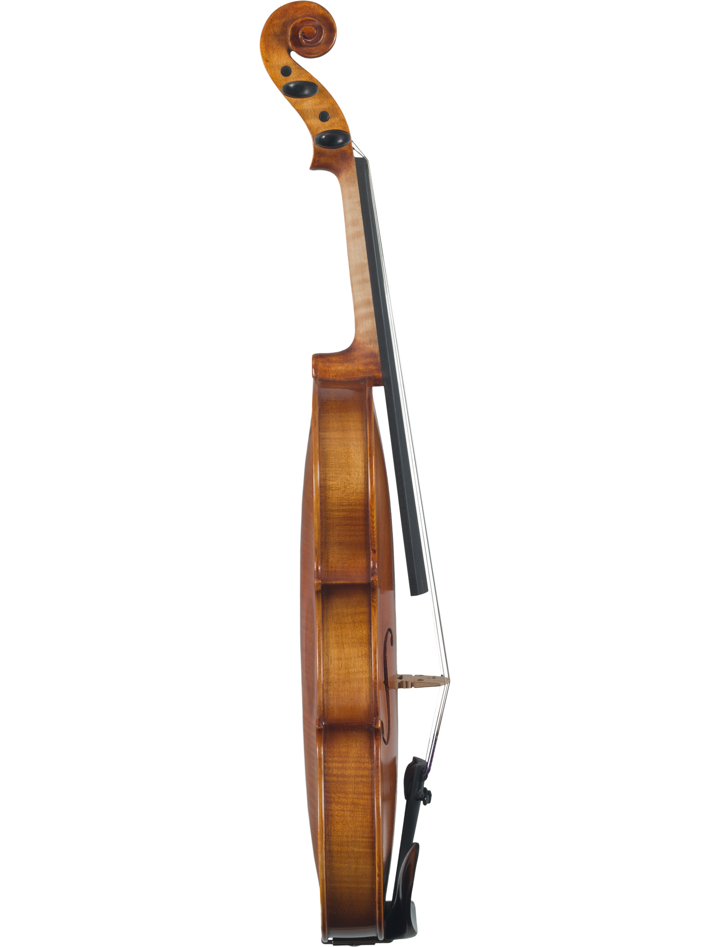 Maple Leaf MLS 130 Apprentice Collection Violin Outfit 3/4 Size