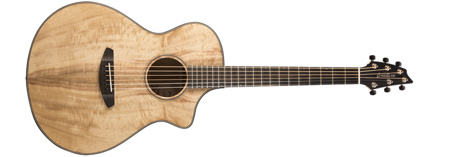 Breedlove Oregon Concert CE