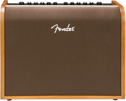 Fender Acoustic 100, Acoustic Guitar Amp