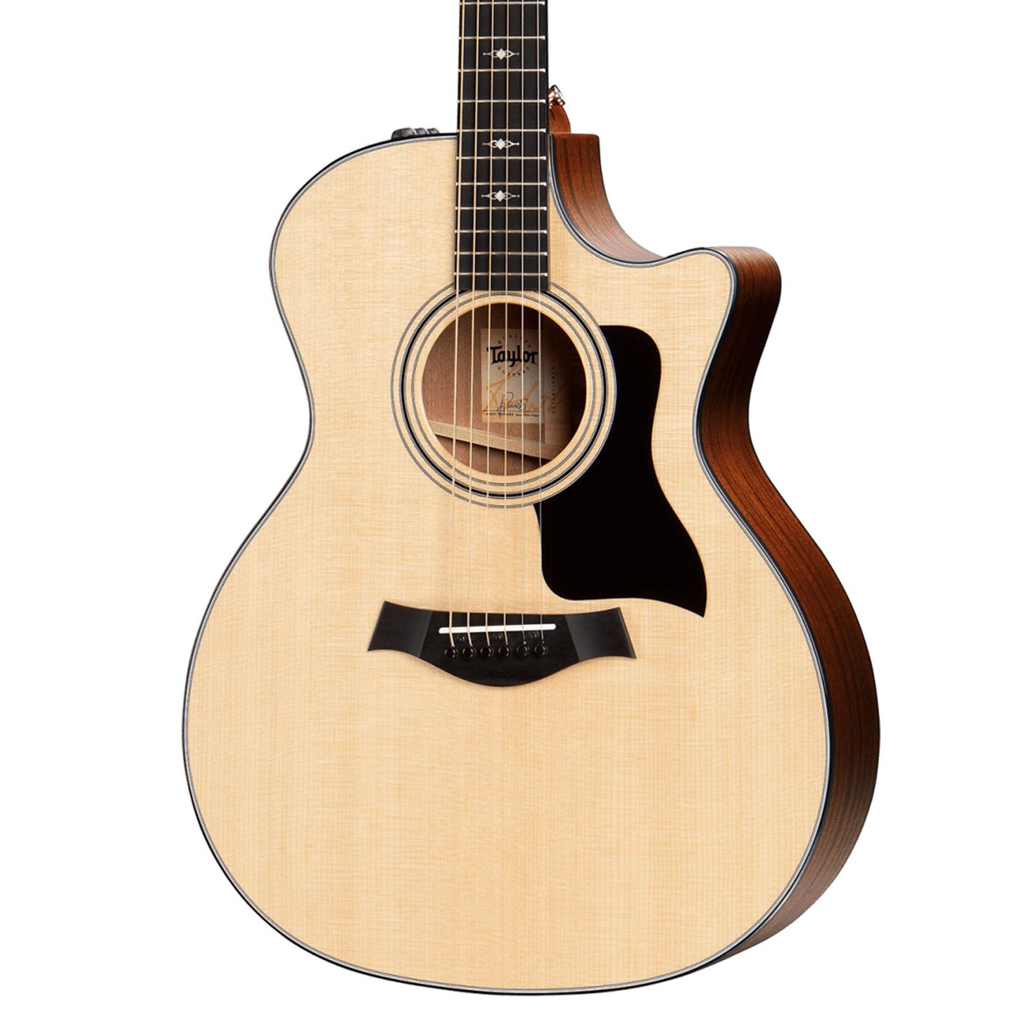 Taylor 314CE, Acoustic Guitar