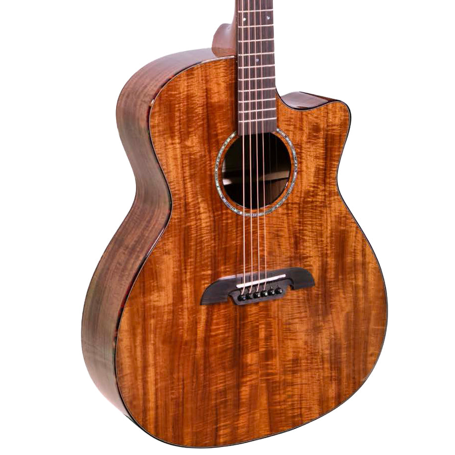 Alvarez RG99KCE-ELITE (Exclusive)  Acoustic Guitar
