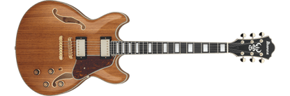 Ibanez AS93ZW, Electric Guitar