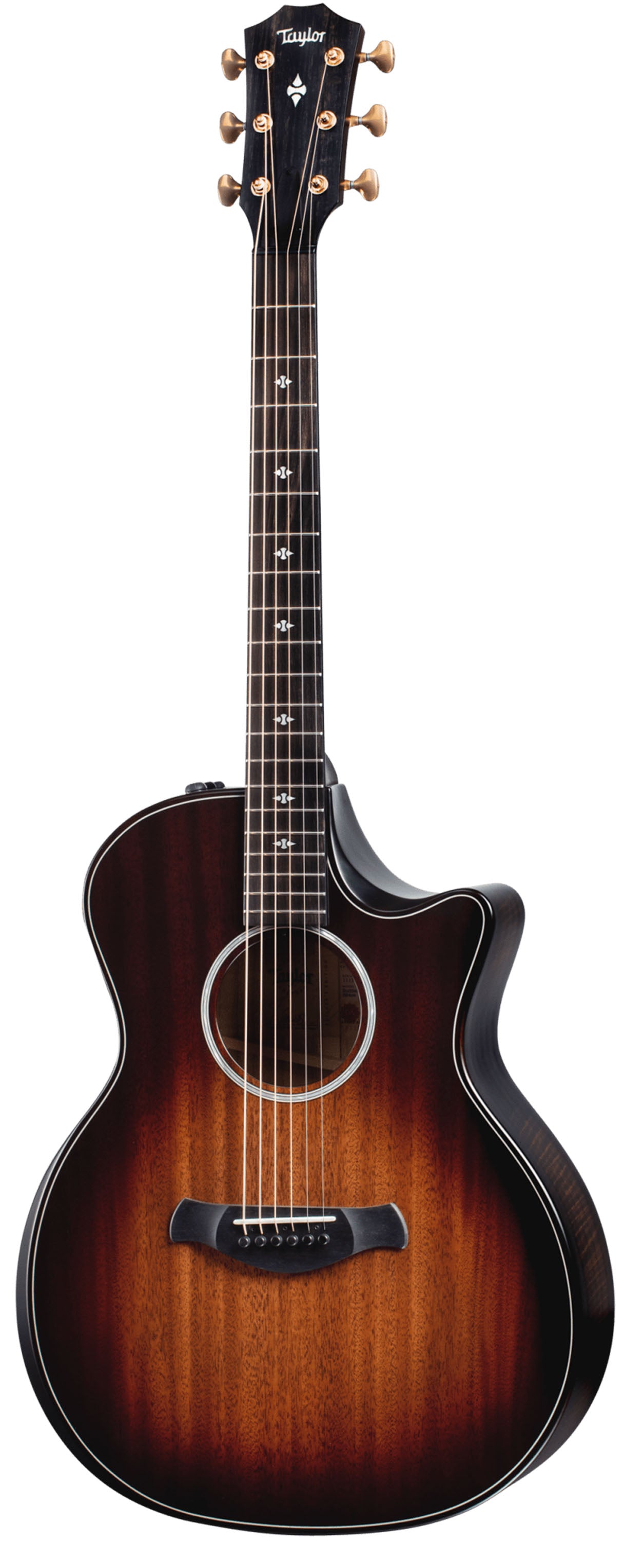 Taylor Builder's Edition 324ce, Acoustic Guitar