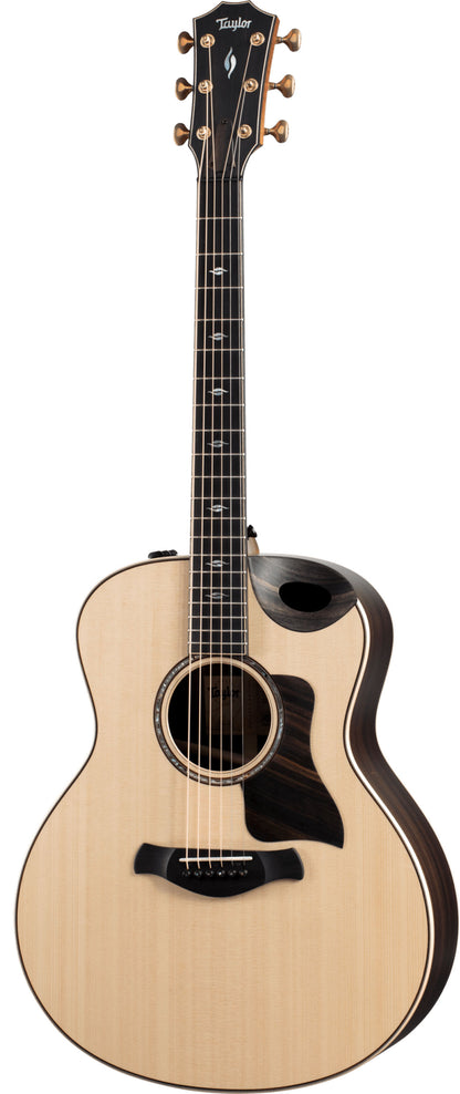 Taylor Builder's Edition 816ce, Acoustic Guitar