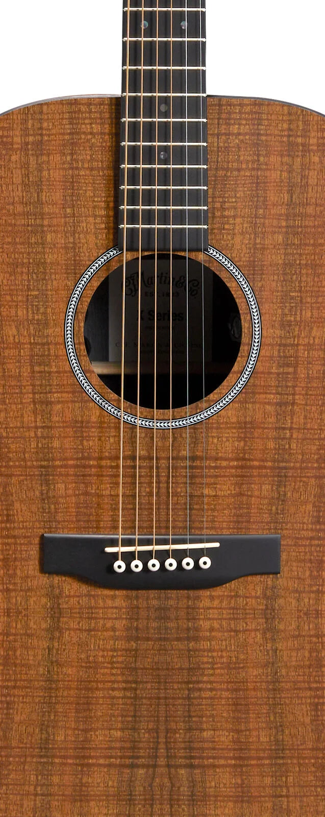 Martin D-X1E, Acoustic Guitar