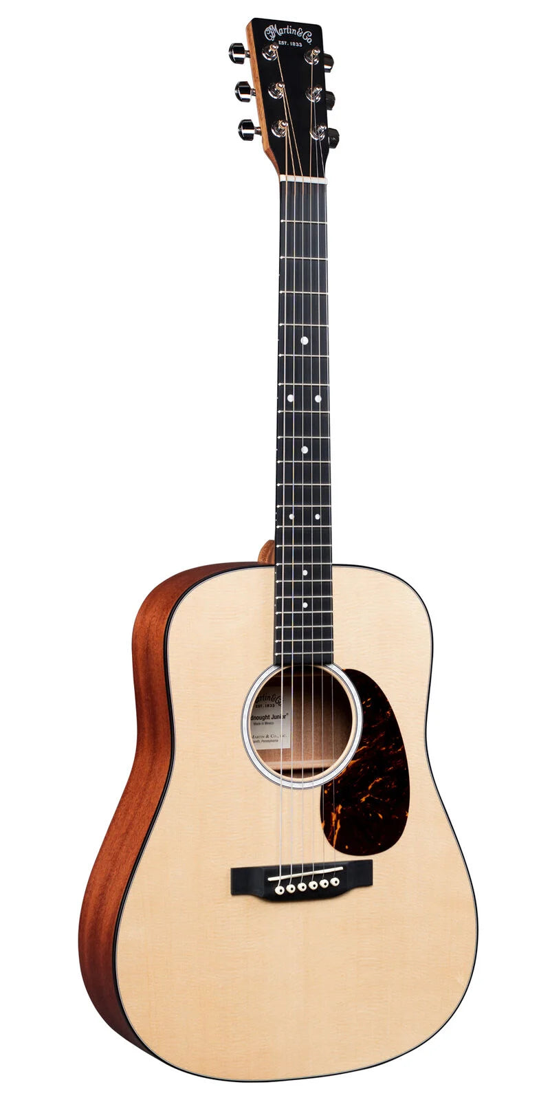 Martin DJr-10, Acoustic Guitar