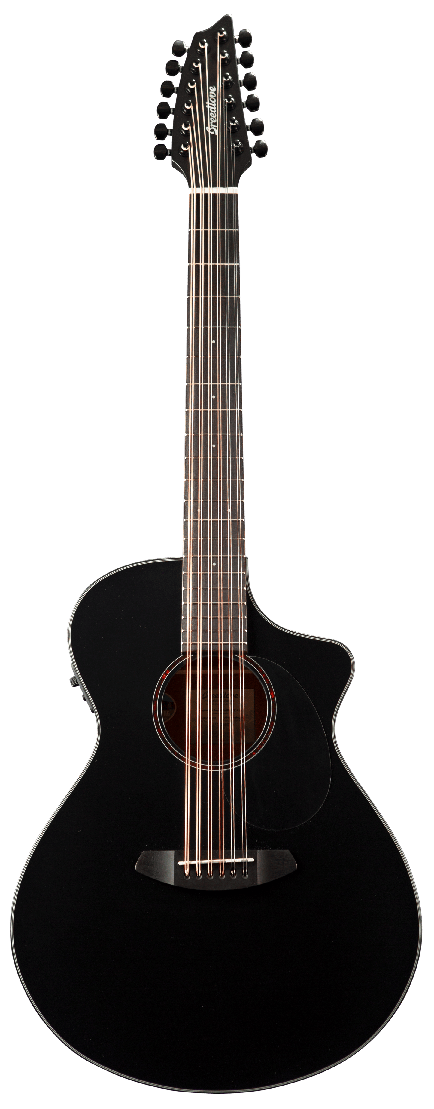 Breedlove Discovery S Concert Satin Black Double Course 12 CE