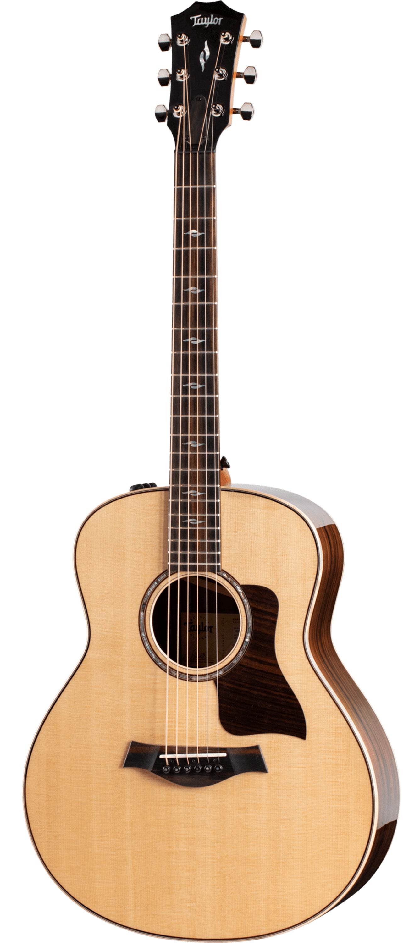 Taylor 811e, Acoustic Guitar