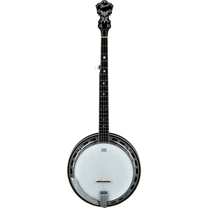 Ibanez Limited Edition B-250 Banjo 250th USA Annniversary