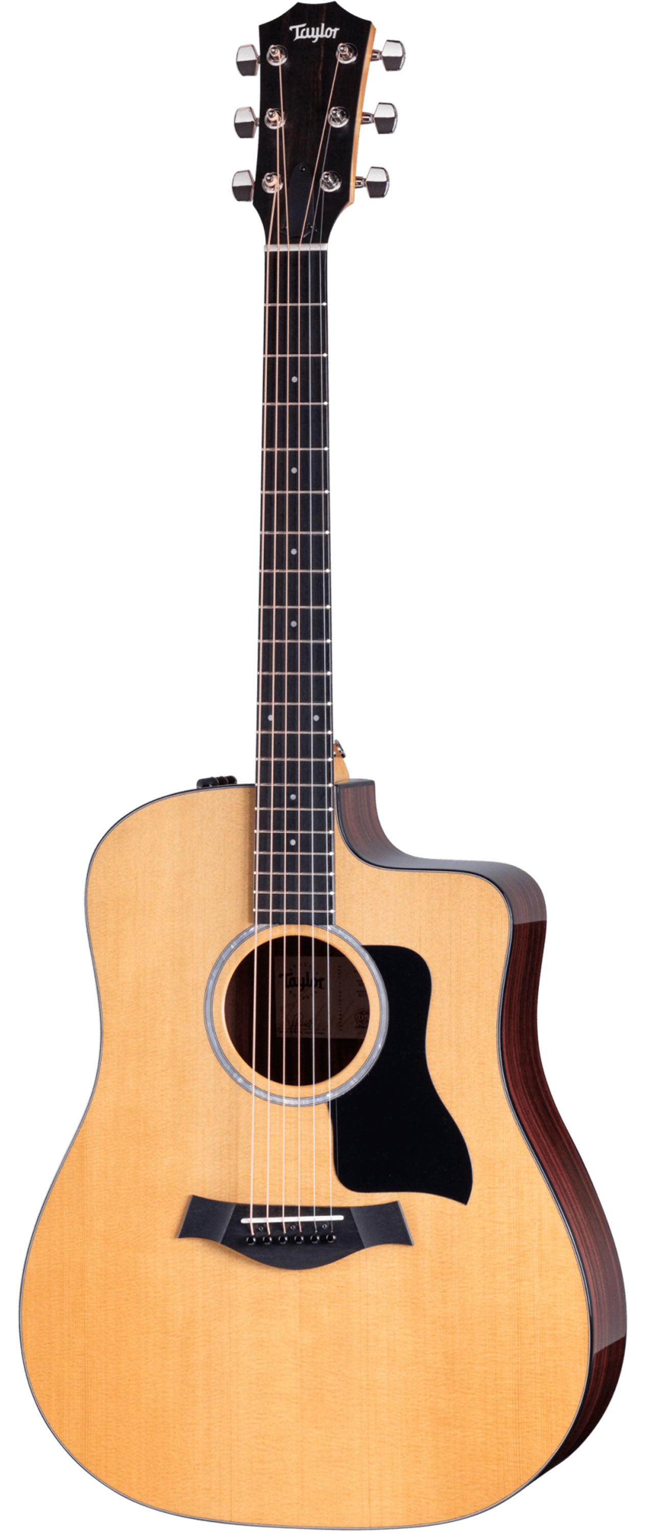 Taylor 210ce Plus, Acoustic Guitar