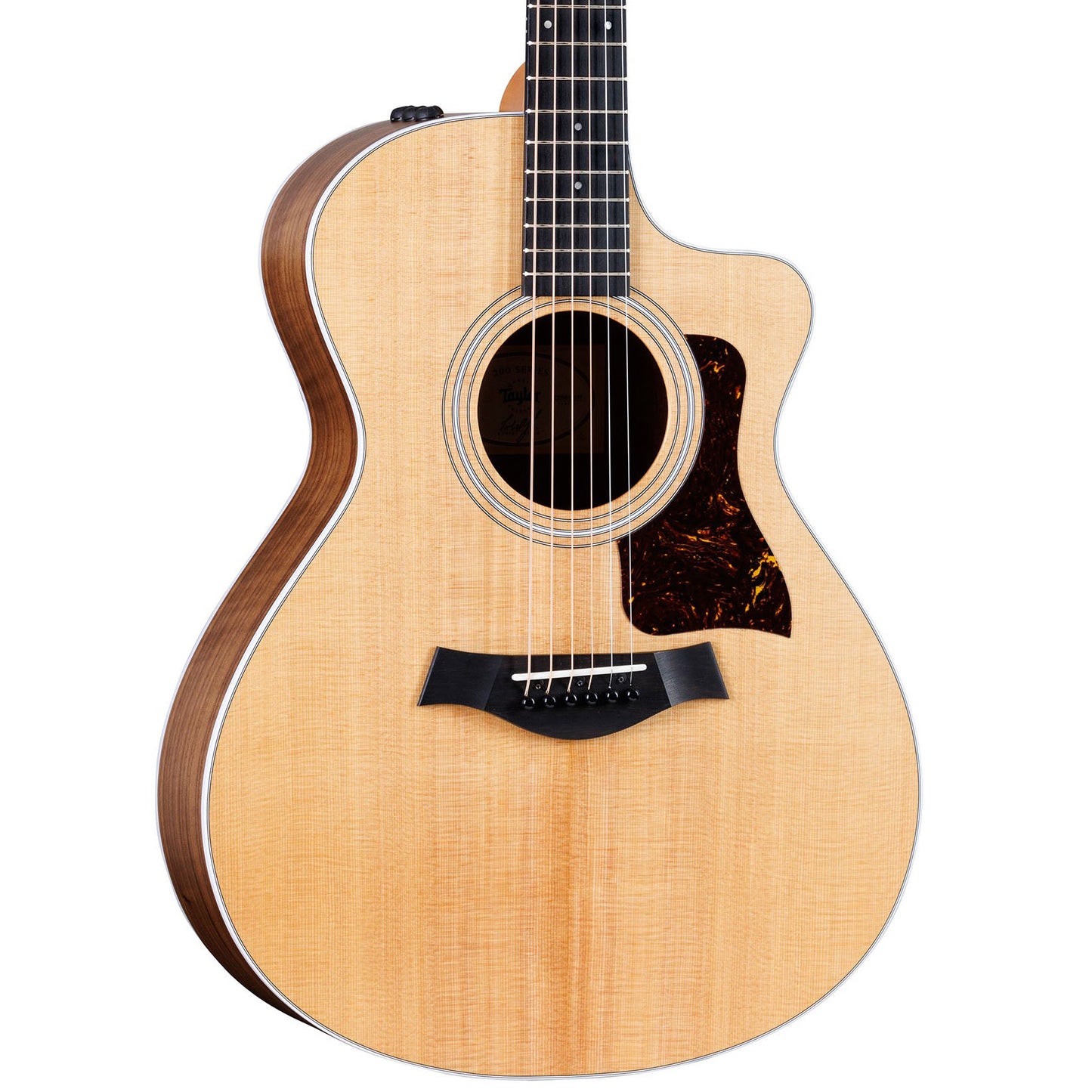 Taylor 212ce, Acoustic Guitar