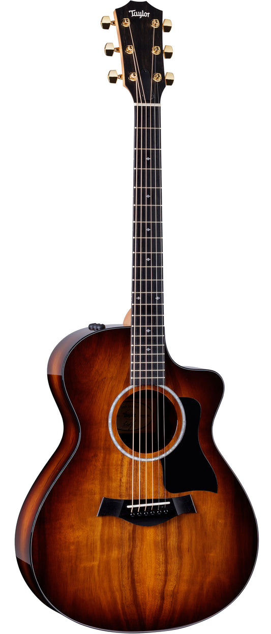 Taylor 222ce-K DLX, Acoustic Guitar