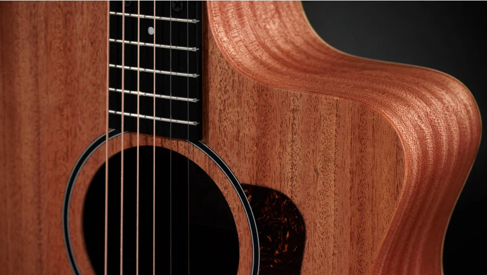 Taylor 24ce Acoustic Guitar