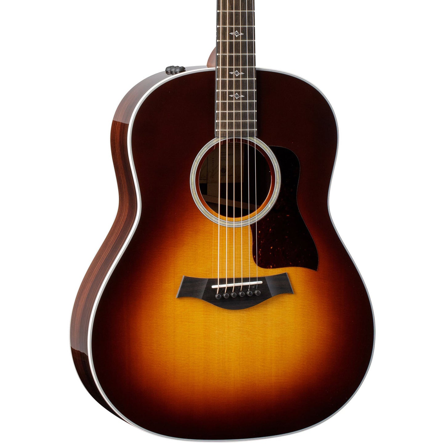 Taylor 417e, Acoustic Guitar