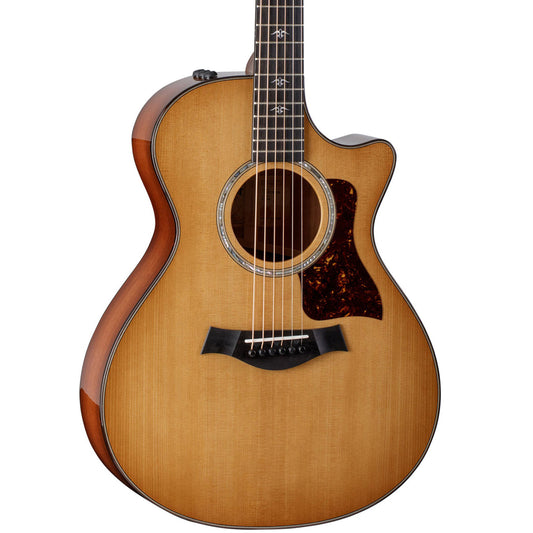 Taylor 512ce, Acoustic Guitar