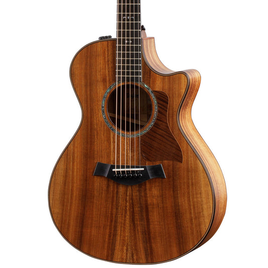 Taylor 722ce, Acoustic Guitar