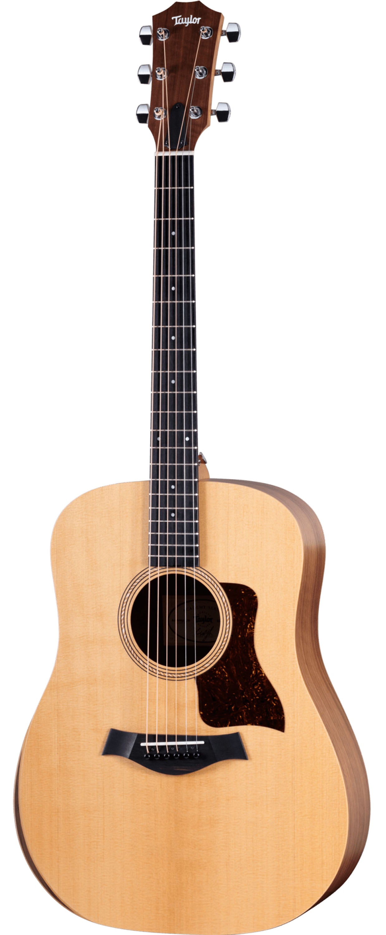 Taylor Academy 10e, Acoustic Guitar