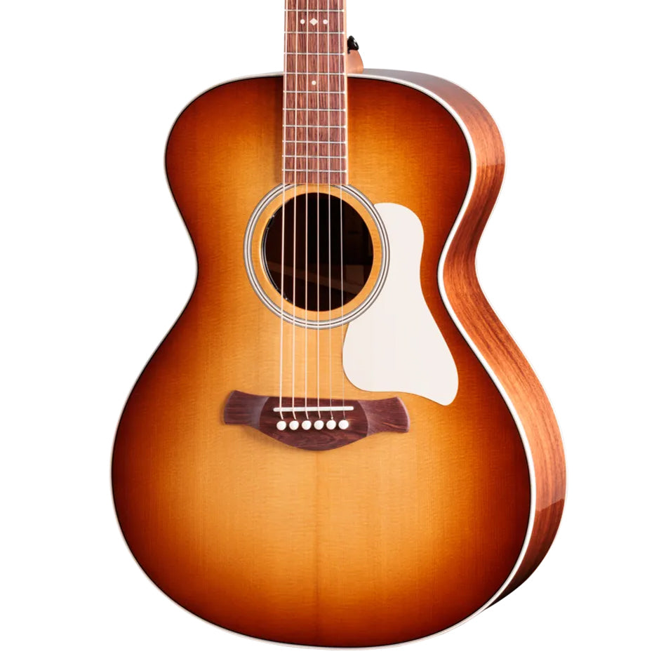 Taylor Ben Harper Gold Label 512e Special Edition