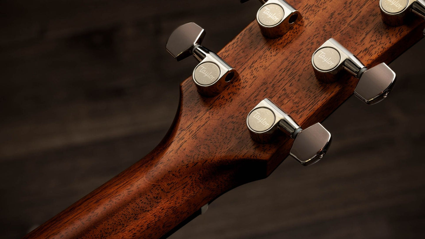Taylor Gold Label 517e
