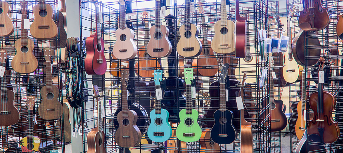 Folk Instruments in Portland OR Portland Music Company