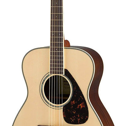 Yamaha FS830, Acoustic Guitar