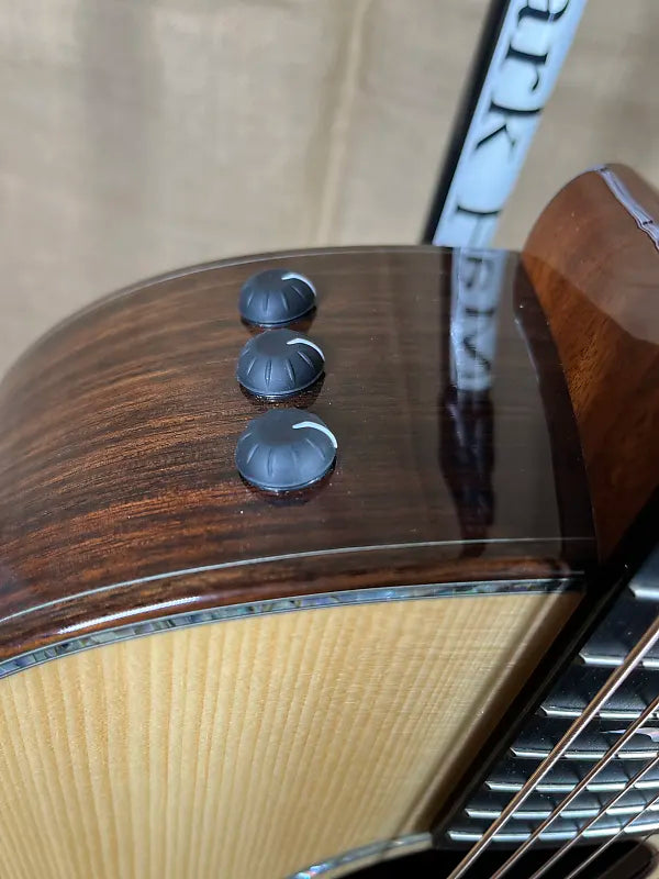 Taylor Custom Grand Pacific Adirondack Spruce/Indian Rosewood