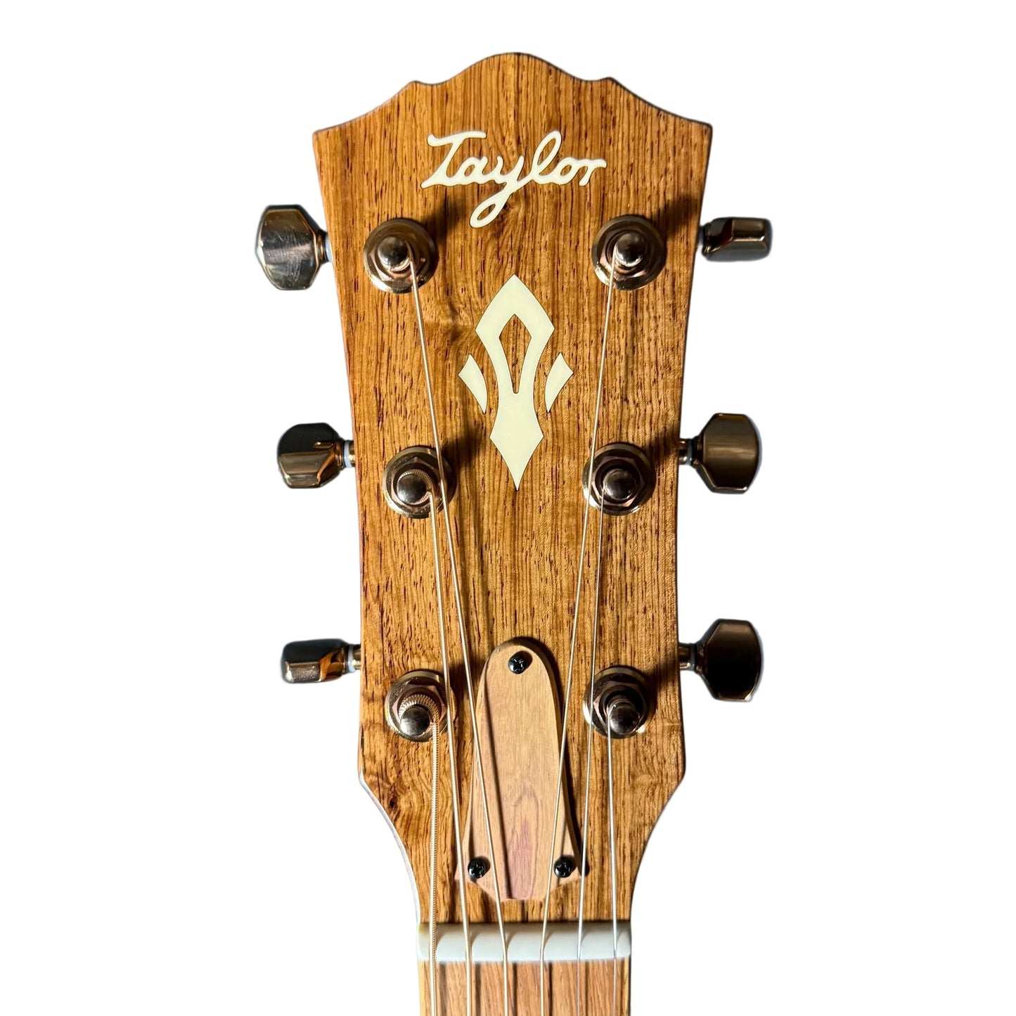 Taylor Ben Harper Gold Label 512e Special Edition Acoustic Guitar