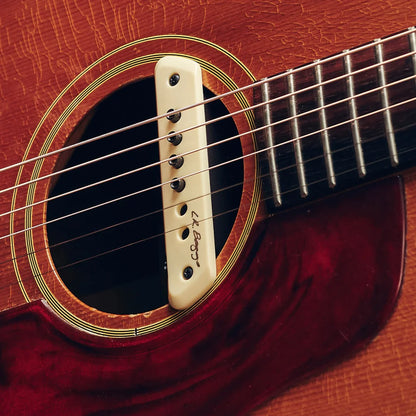 LR Baggs M1 Active Sound Hole Acoustic Pickup