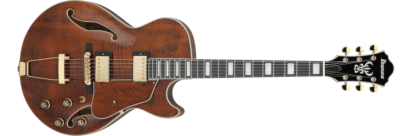 Ibanez AG95MG ARTCORE  Dark Amber Electric Guitar