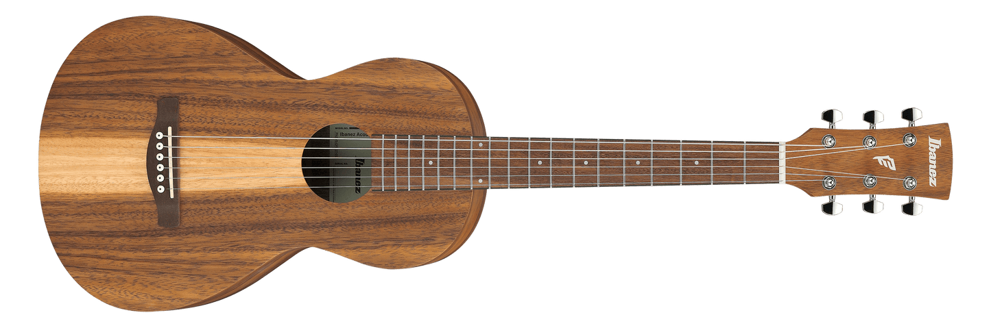 Ibanez  PN2WS Open Pore Brown Parlor Acoustic Guitar