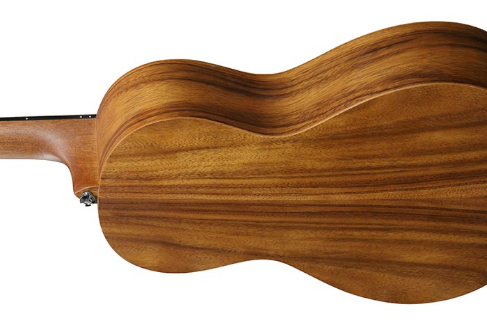 Ibanez  PN2WS Open Pore Brown Parlor Acoustic Guitar