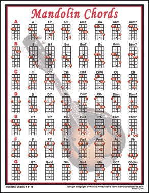 Walrus Mini Mandolin Chord Chart